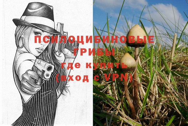 mix Кодинск