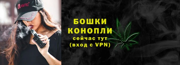 дмт Козельск