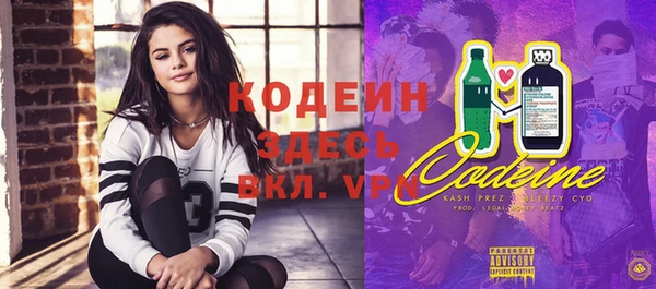 дмт Козельск