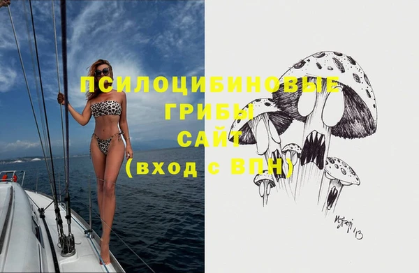 mix Кодинск