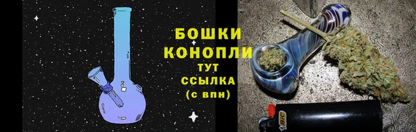 дмт Козельск