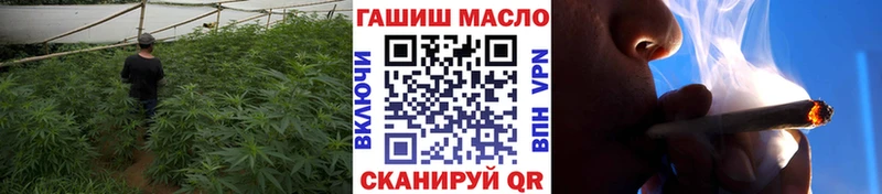 Купить закладки  Нолинск  Дистиллят ТГК вейп 