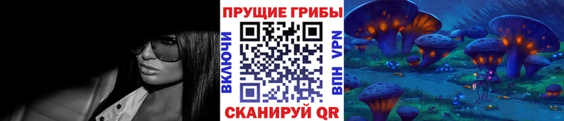 Купить где  Нолинск  Галлюциногенные грибы мицелий 